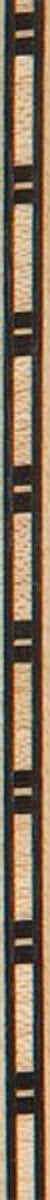 36" Inlay Line / Border - White Maple & Dyed Black - 2PK