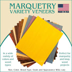 Veneer Variety Pack for Marquetry and Inlay Work
