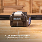 20V Blue Ion™ 4.0Ah Battery Pack