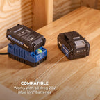 20V BlueIon™ Battery and Charger Starter Kit - 2.0Ah