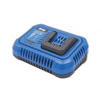 20V BlueIon™ Fast Charger