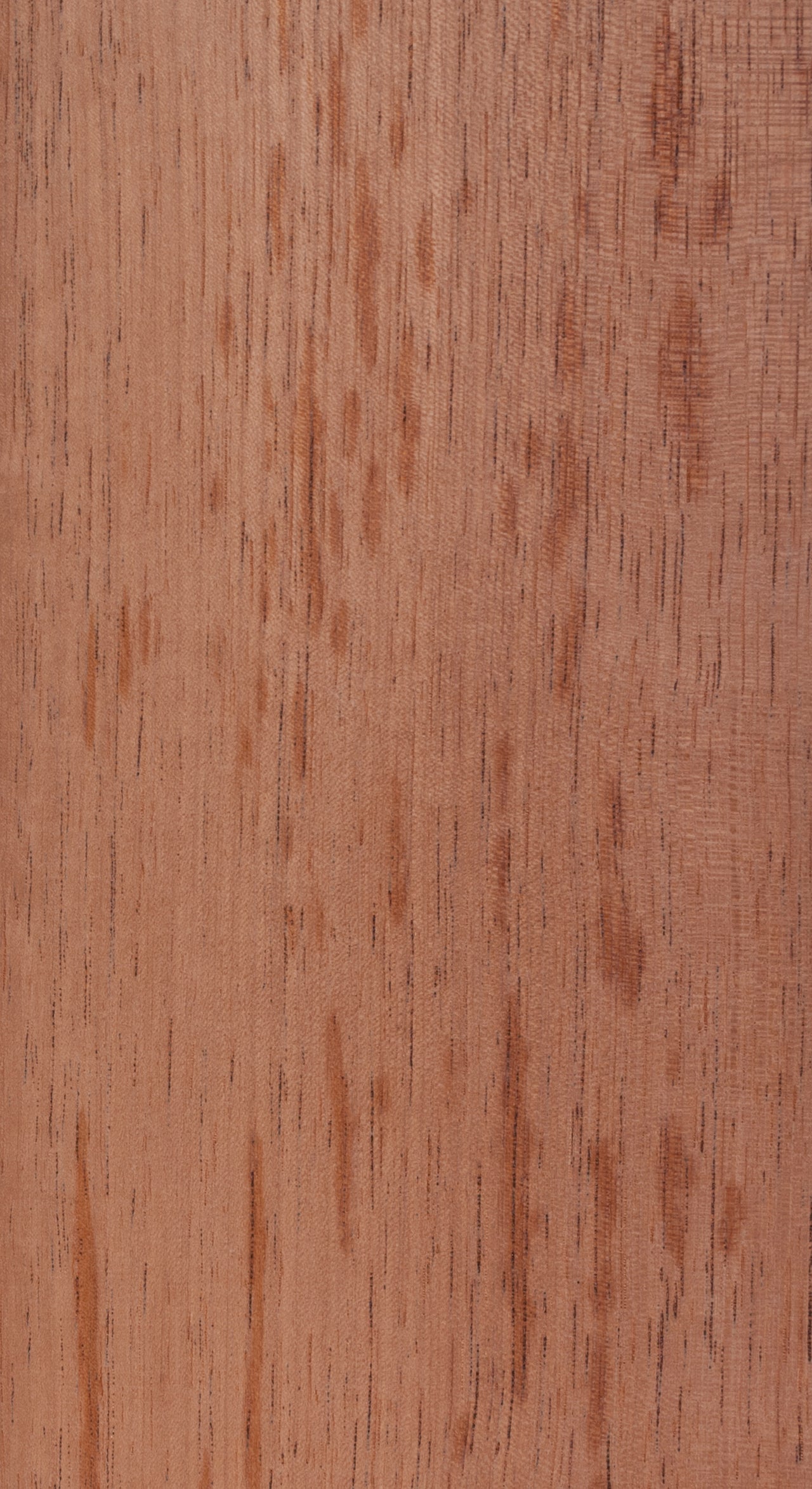 Packaged Veneers