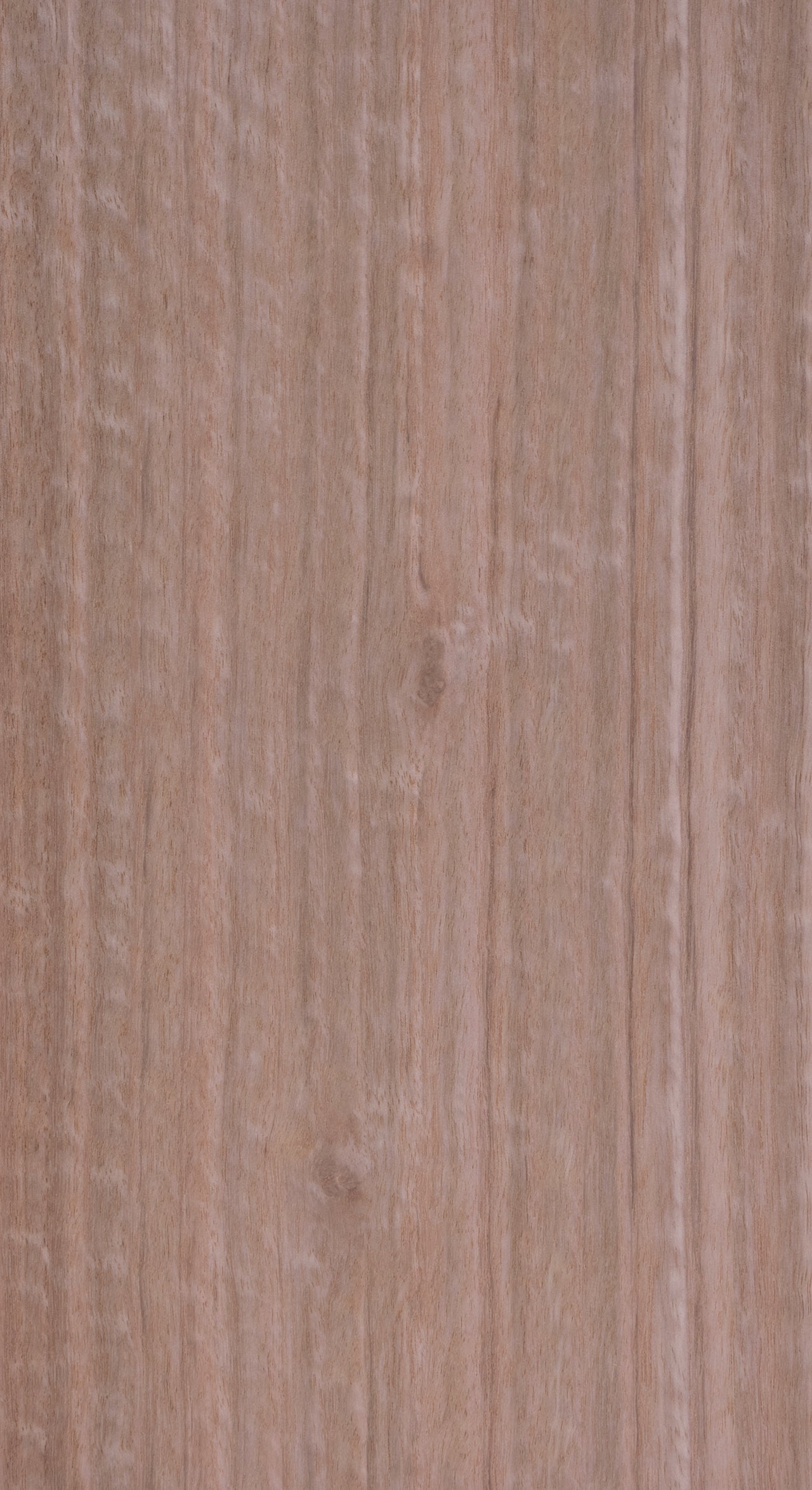 Packaged Veneers