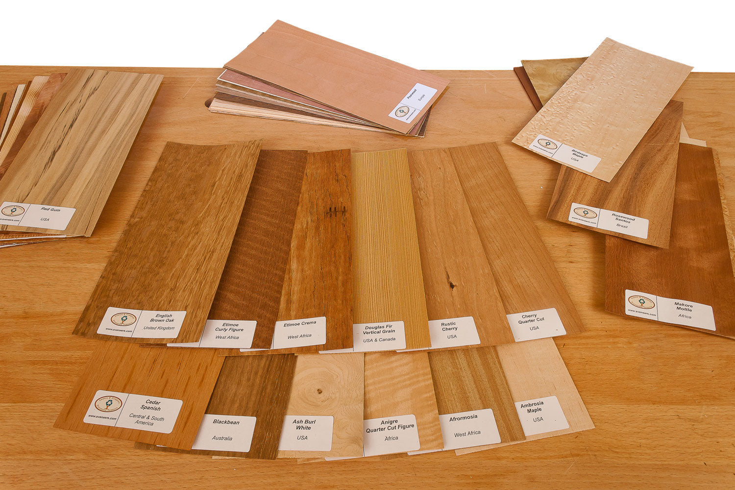 Wood Veneer Identification Kit