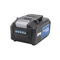 20V Blue Ion™ 4.0Ah Battery Pack